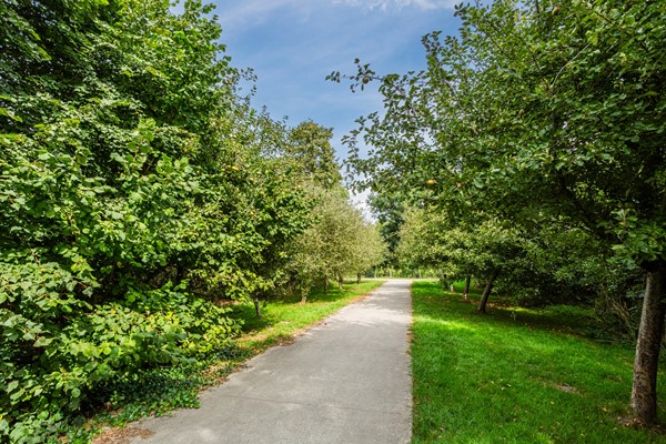 Medium property photo - Donald Ducklaan 18, 1336 ZJ Almere